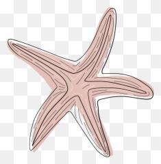 Transparent Pink Starfish Clipart - Portable Network Graphics Png,Starfish Clipart Transparent Background