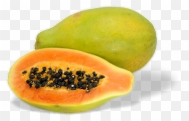 Variedades De La Papaya Png Download - Papaya Kiwi,Papaya Png
