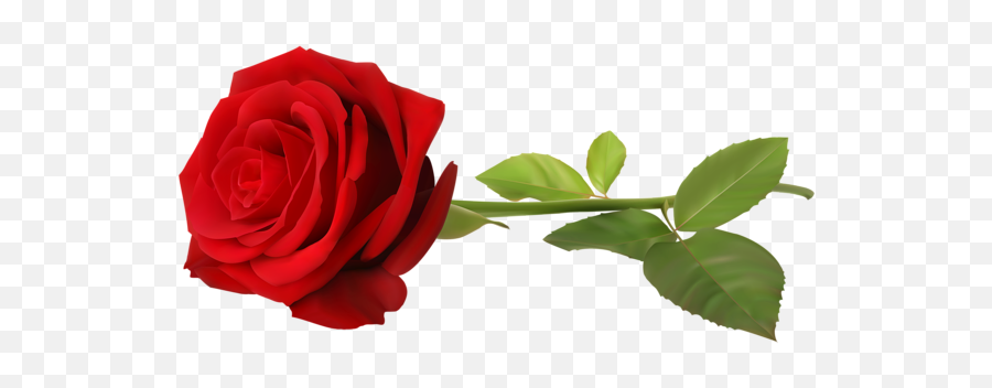 Red Rose Png With Leaf Transparent - Transparent Background Red Rose With Stem,Red Roses Png