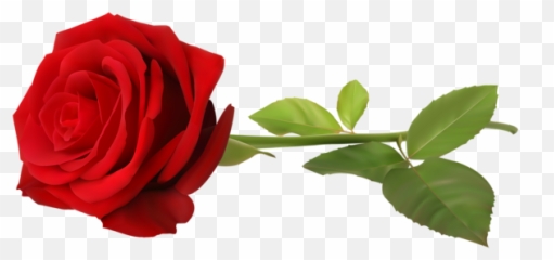 Red Rose Png With Leaf Transparent - Transparent Background Red Rose With Stem,Red Roses Png