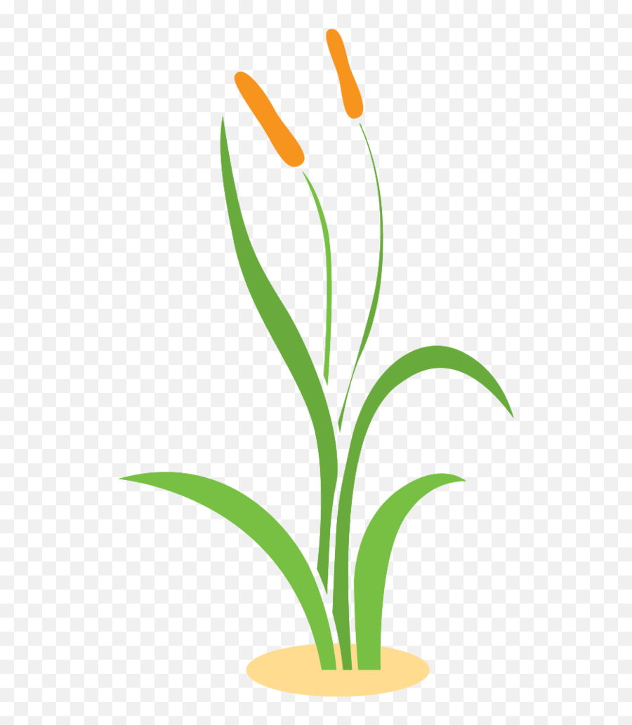 Free Grass Png With Transparent Background - Vertical,Green Grass Png