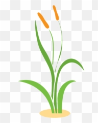 Free Grass Png With Transparent Background - Vertical,Green Grass Png