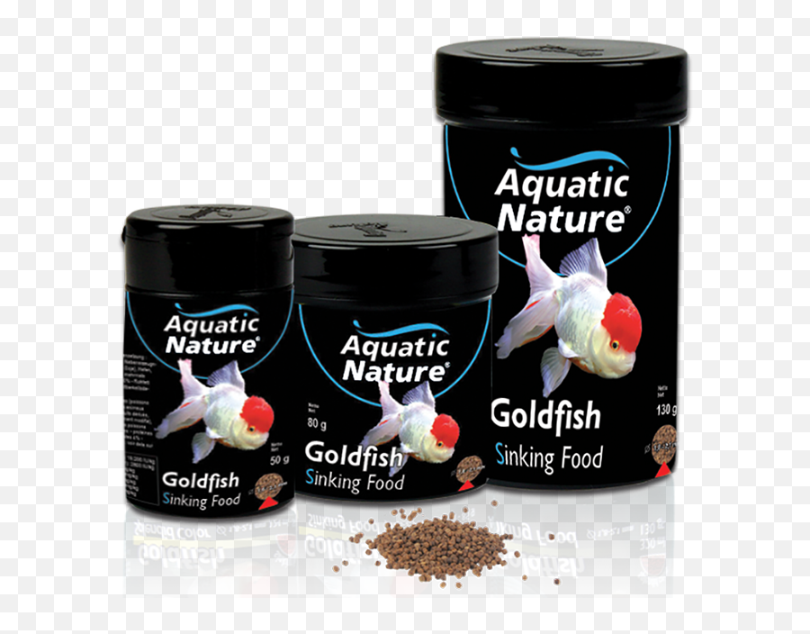 Goldfish Sinking Food - Aquatic Nature Aquatic Nature Png,Goldfish Transparent