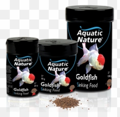 Goldfish Sinking Food - Aquatic Nature Aquatic Nature Png,Goldfish Transparent