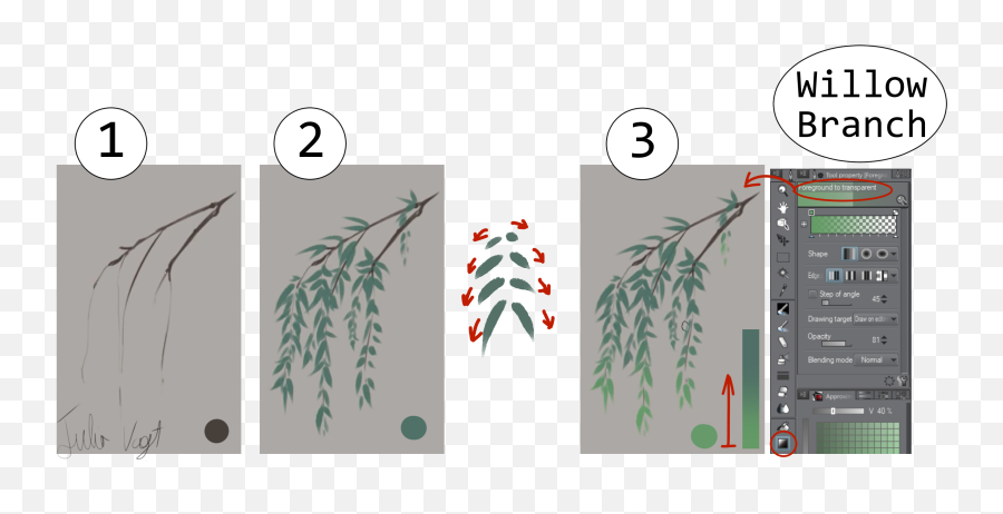 A Helpful Guide To Drawing Plants By Herodraws - Clip Studio Vertical Png,Paint Tool Sai Transparent Background