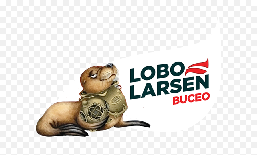 Lobo Larsen Buceo Puerto Madryn Patagonia Argentina - Language Png,Sea Lion Icon
