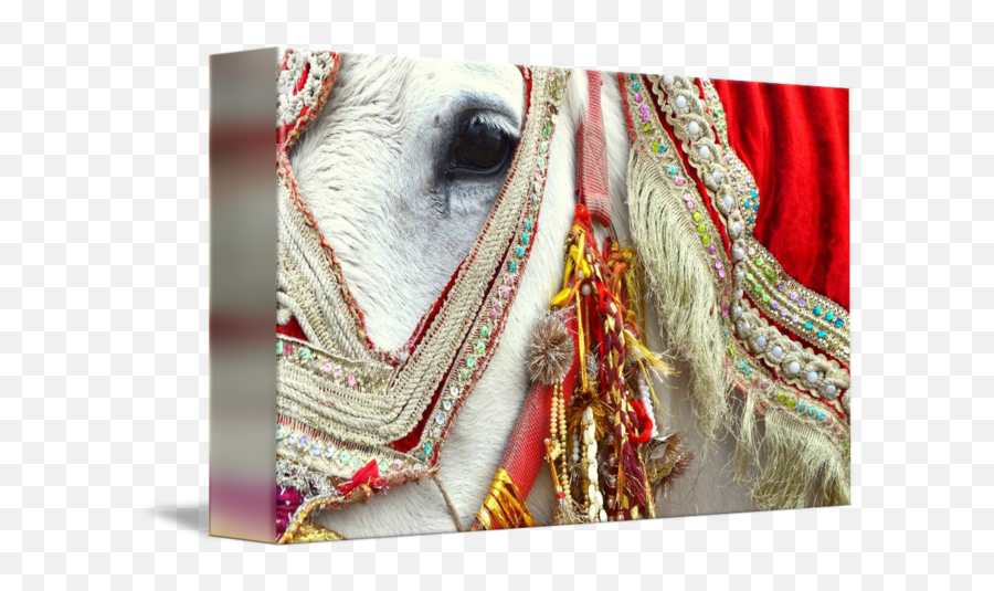 Decorated White Horse For Indian Wedding By Jessica Angley - White Decorated Horse Png,White Horse Png