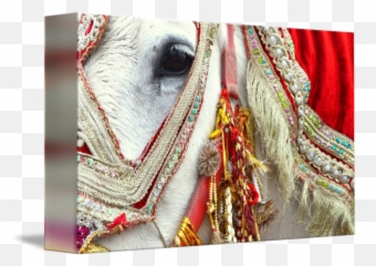 Decorated White Horse For Indian Wedding By Jessica Angley - White Decorated Horse Png,White Horse Png
