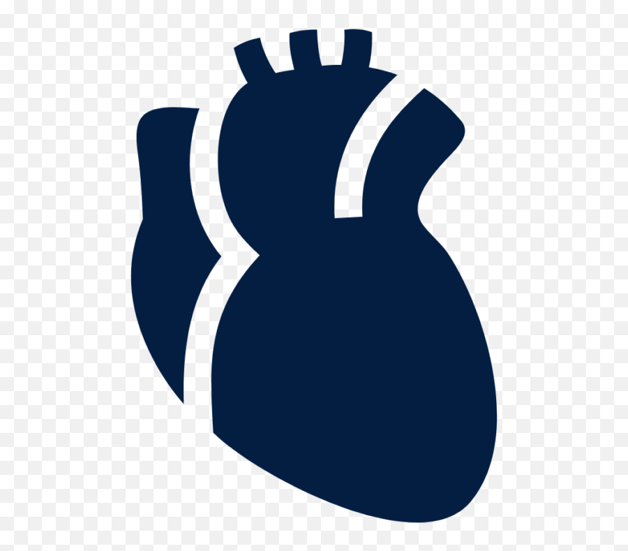 Department Of Medicine Lectures Png White Anatomical Heart Icon Transparent