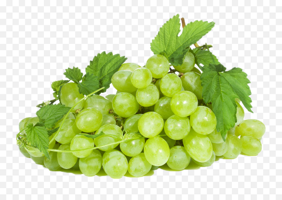 Black Grapes Png Photo Background