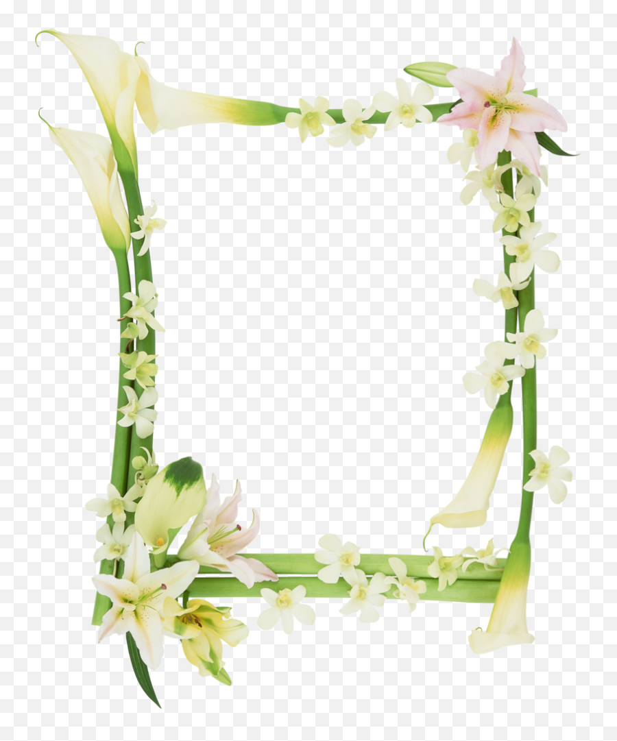 F3664216730 Png V50 Image - Hibiscus And Bamboo,Bamboo Frame Png