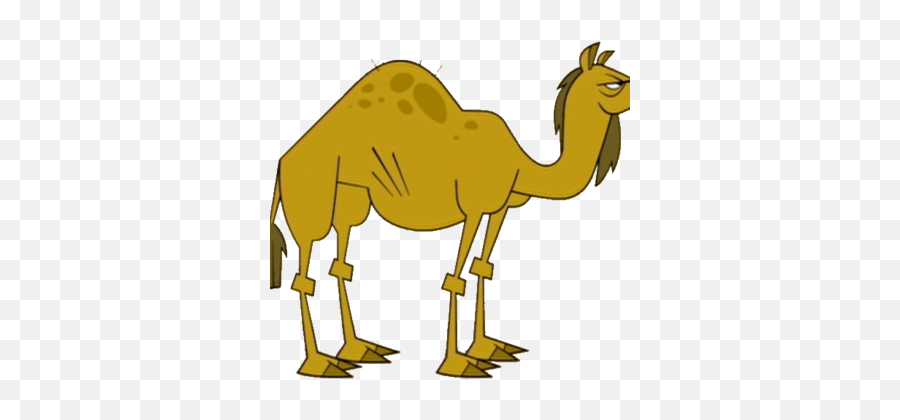Camel - Total Drama Island Geoff Png,Camel Png