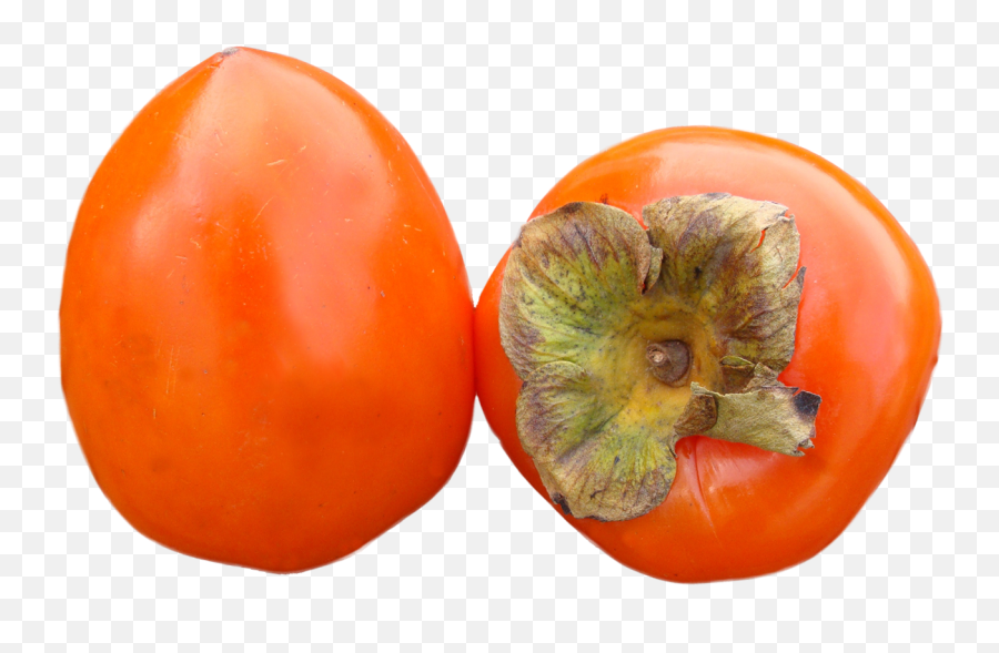 12 Persimmon Png Image Collection Free Download - Trái Hng Png,Anaconda Png