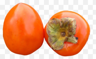 12 Persimmon Png Image Collection Free Download - Trái Hng Png,Anaconda Png