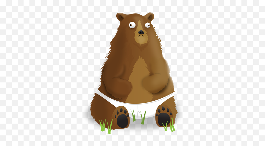 Why Grizzly Bears Should Wear Underpants - A New Book By The Grizzly Bear Wearing Underwear Png,Grizzly Bear Png