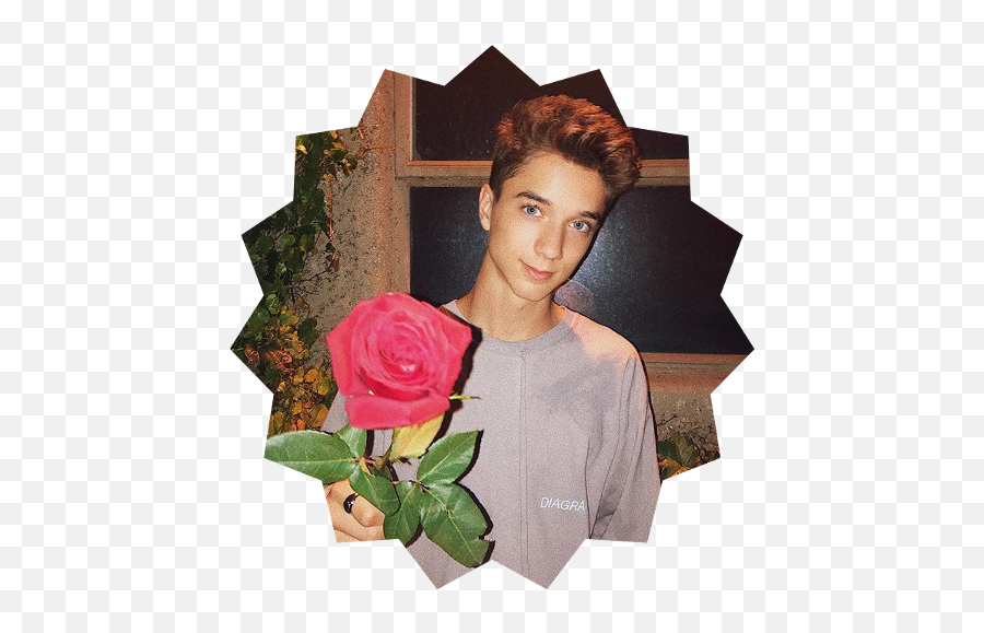 Clout Glasses - Daniel Seavey With Rose Png Download Best Pictures Of Daniel Seavey,Clout Glasses Png