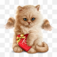 Chats - Page 13 Beautiful Animated Cat Png,Psp Png