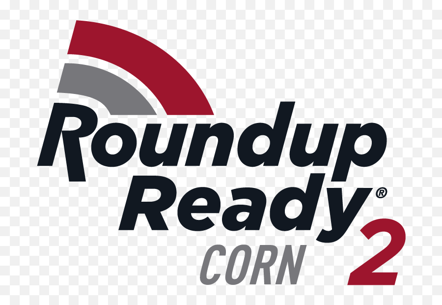 Ps 2321vt2p Rib U2014 Pitura Seeds - Roundup Ready Corn 2 Png,Corn Stalk Png