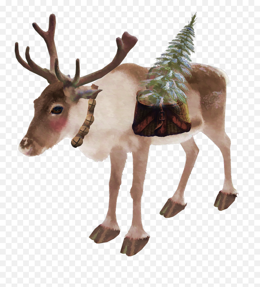 Collage Obsession Help Looking For A Lost Reindeer Can You - Reindeer Png,Reindeer Png