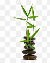 Tall Grass Donu0027t Starve Game Wiki Fandom - Grass Don T Starve Png,Grass Png Transparent