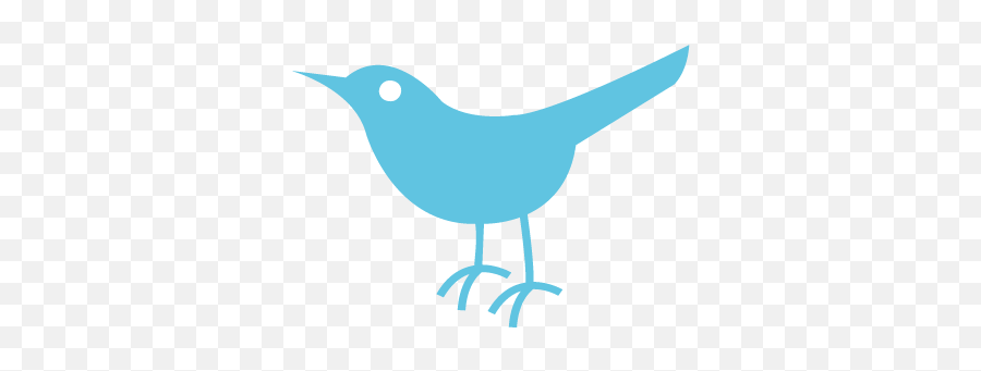 Twitter Bird Logo - Twitter Bird Icon Png,Twitter Bird Transparent
