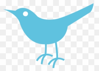 twitter bird button png