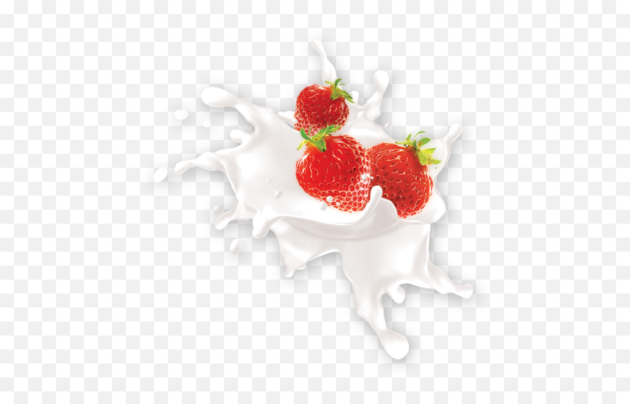 Icon - Milk Fruit Splash Png,Strawberries Png