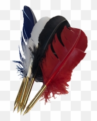 Quill Ink - Bird png