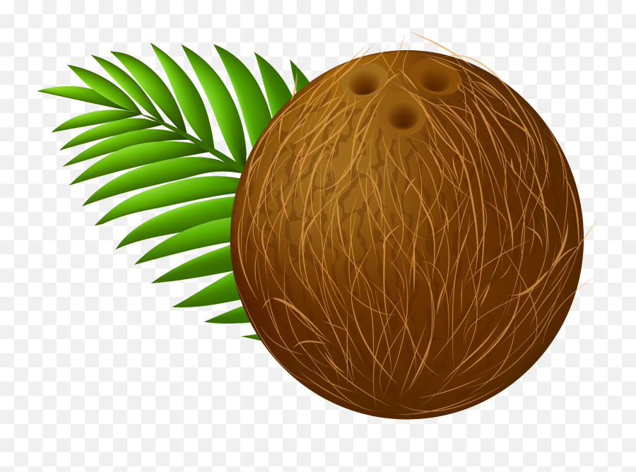 Coconut Transparent Png Clip Art Image - Coconut Clipart Png,Coconut Transparent