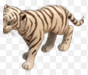 White Tiger - Bengal Tiger Png,White Tiger Png