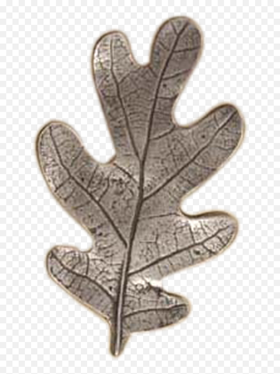 2242 Expressions Sm - Bronze Png,Oak Leaf Png