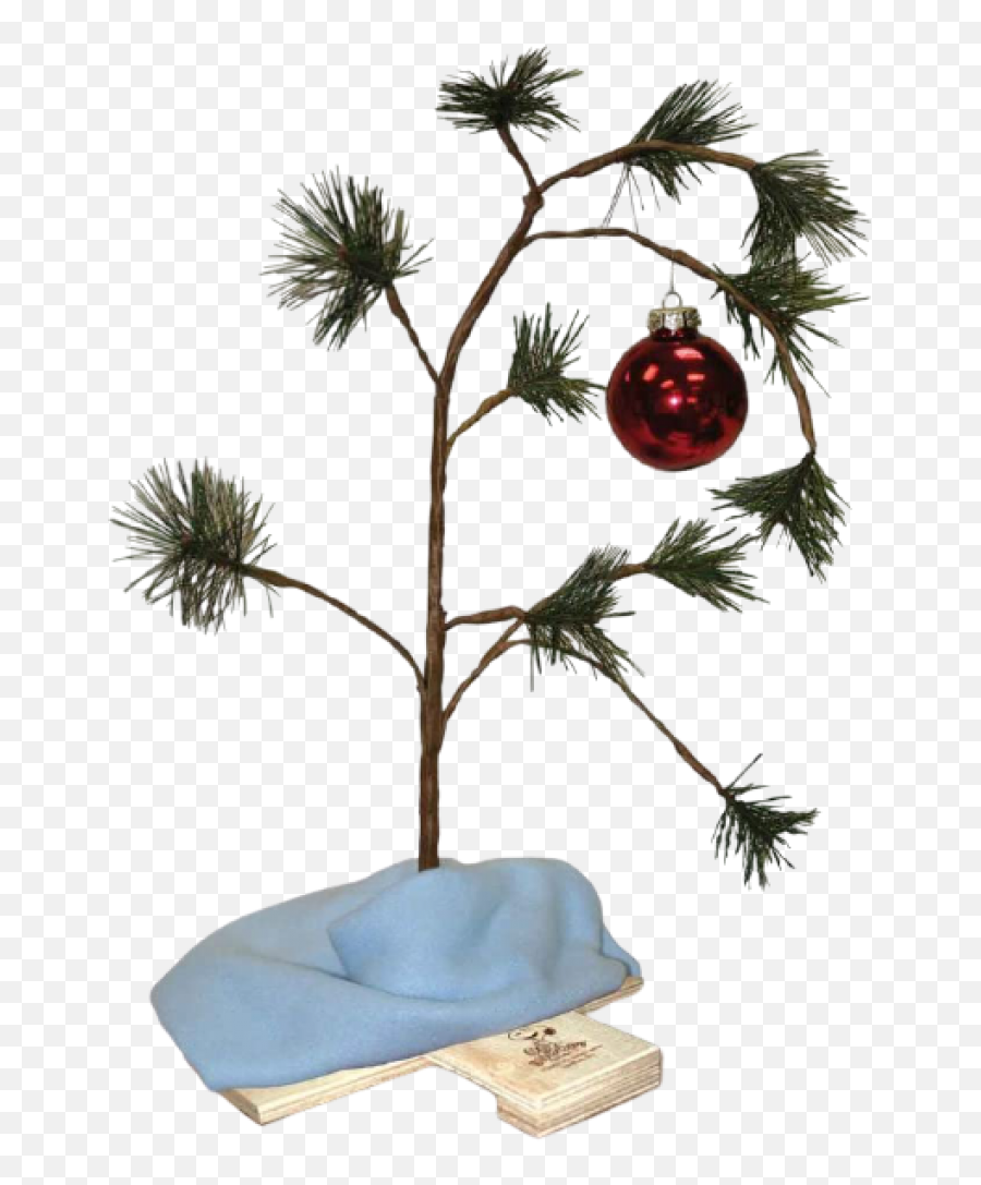 The Best Christmas Decorations Products To Buy In 2020 U2013 Rivajs - Charlie Brown Christmas Tree Png,Charlie Brown Christmas Tree Png