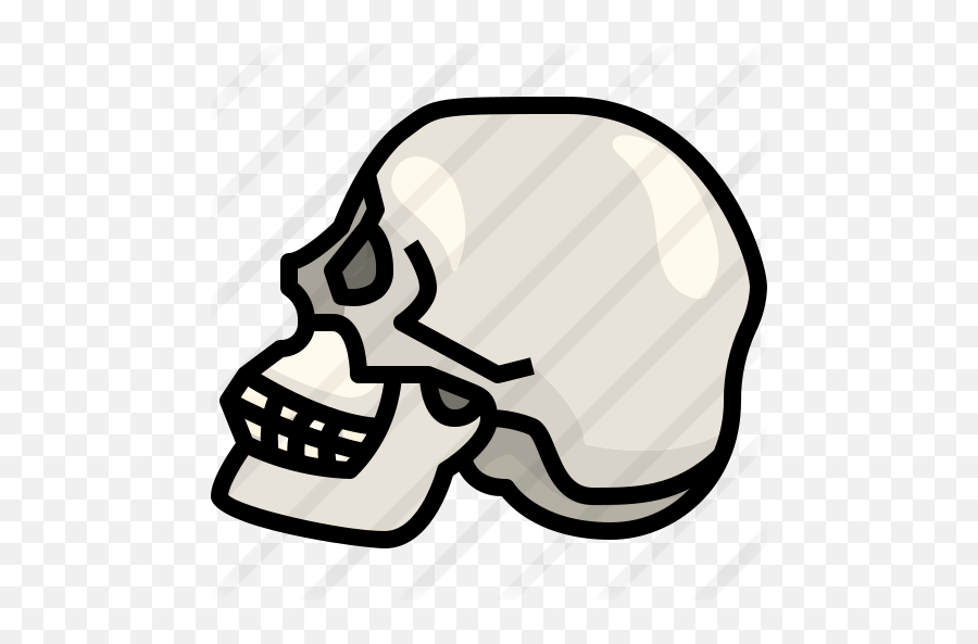 Skull - Free Halloween Icons Hard Png,Spooky Skeleton Icon