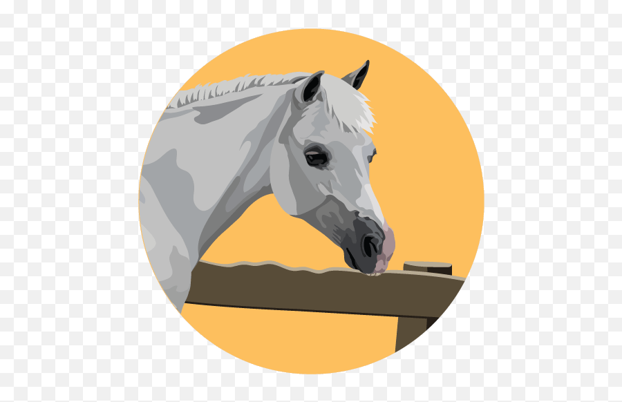 Stable Vices U0026 Bad Habits In Horses Ponies - Allpony Png,Horse Foot Symbol Icon