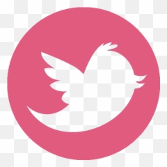 Advances In Male Contraception Positive For Womenu0027s Health - Twitter Logo Png