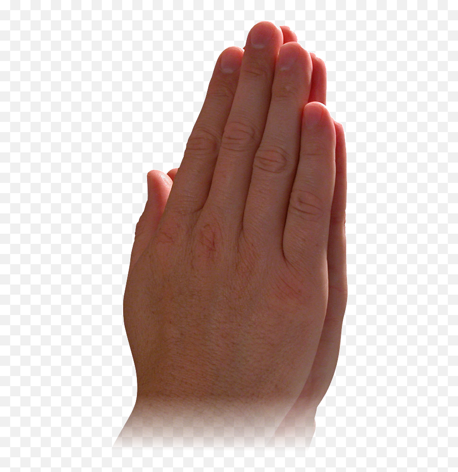 Praying Hands Prayer God Child Religion - Seek Genuine Prayer Hands Images Download Png,Hands Transparent Background