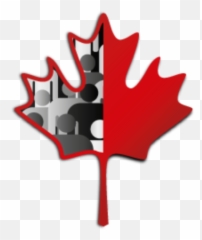 Ethical Issues Related To Research Involving Individuals Engaged Defined Criminal Activities Institution License - Canada Ethics png