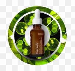 Download Hd What Is Kelp Bioferment - Cosmetics Png,Algae Png