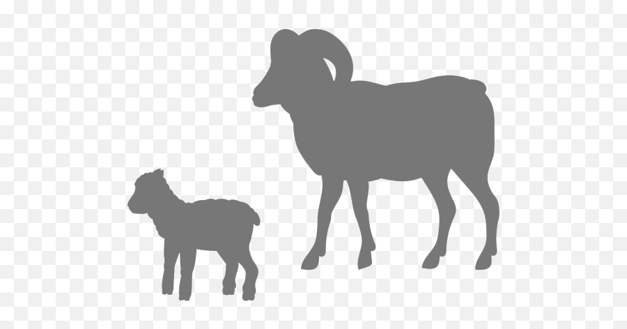 Wishlist - Donate Essential Care Items For Every Lamb Rescued Christmas Shepherd Silhouette Png,Lamb Icon