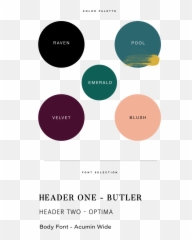 Radiant Raven U2014 Studio Linear - Awardwinning Creative Circle Png,Raven Png