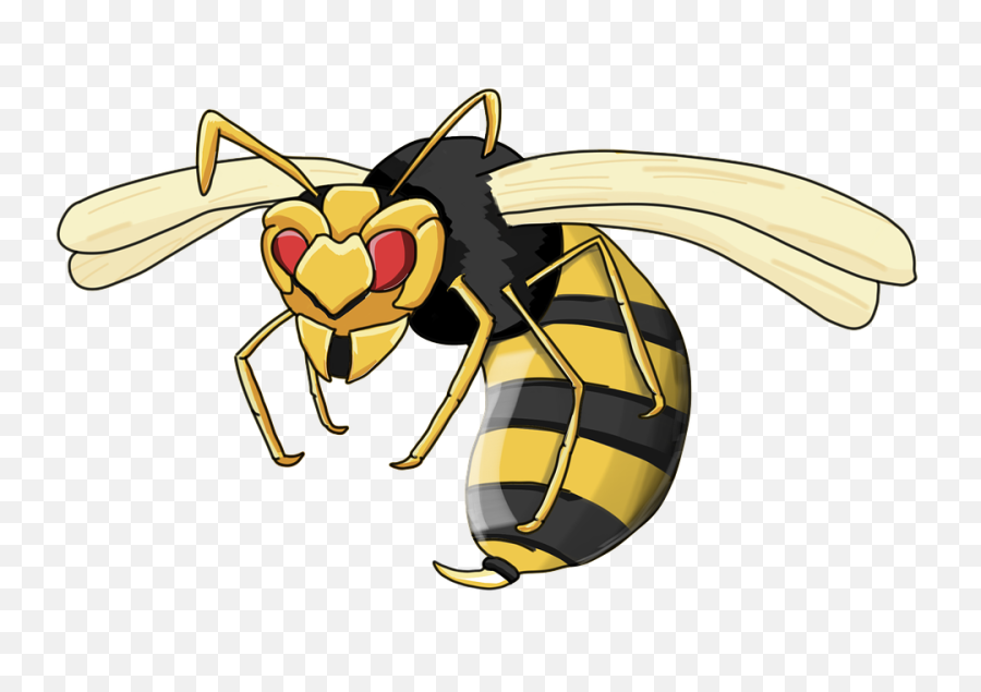 Wasp Hornet Insect - Wasp Cartoon Png,Wasp Png