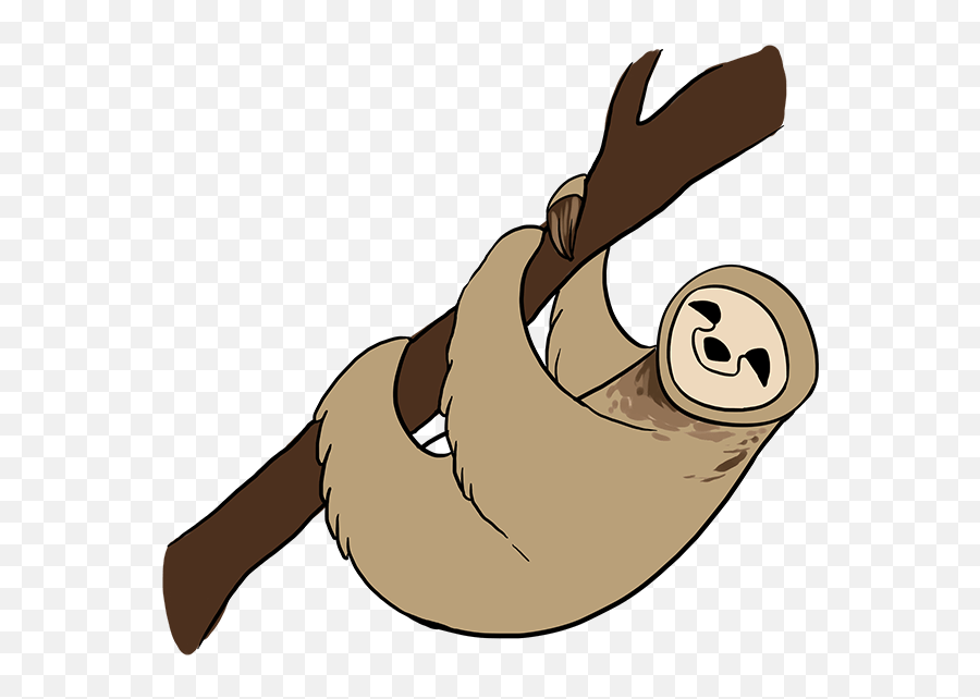 How To Draw Sloth Clipart - Full Size Clipart 3080494 Drawing Picture Of Sloth Png,Sloth Transparent Background