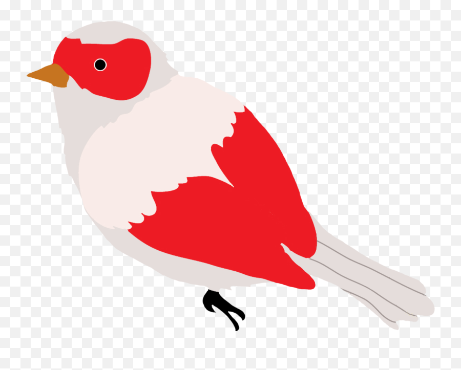 Colorful Drawings Of Birds - Clip Art Png,Red Bird Png