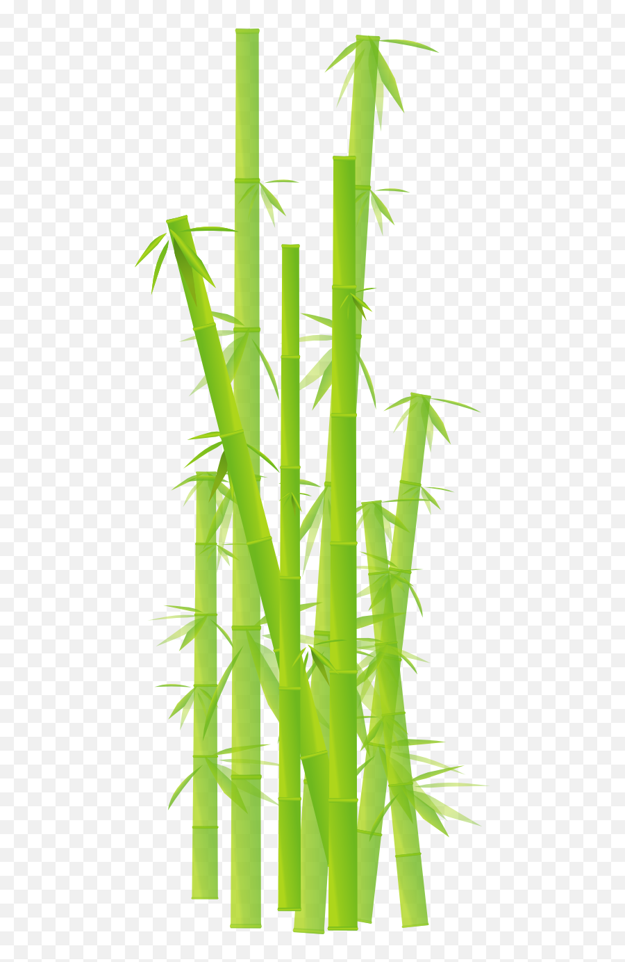 Free Bamboo Background Cliparts - National Bamboo Mission Upsc Png,Bamboo Transparent Background