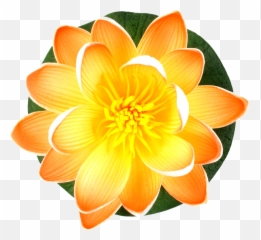 Different Type Of Flower Png Images - Dahlia