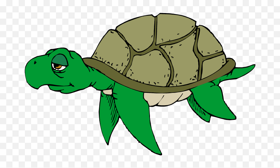 Download Turtle Clipart Png Transparent - Sad Turtle Clipart,Turtle Clipart Png