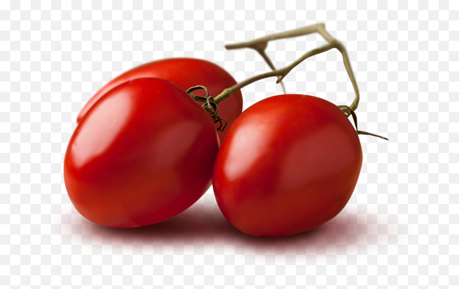 Petti Tomato Is 100 Tuscan Product - Pomodori Png,Tomatoe Png