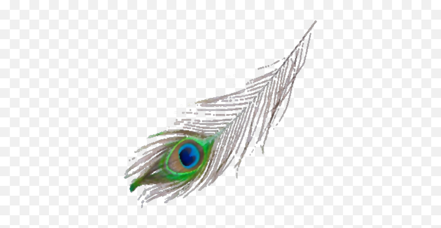 Peacock Feather - Roblox Peafowl Png,Peacock Feather Png