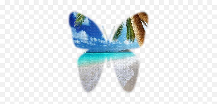 Kazcreations Beach Backgrounds Background - Fish Png,Beach Background Png