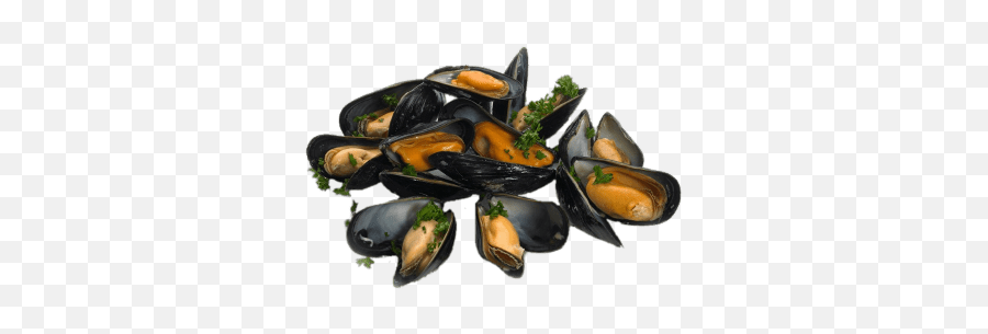 Cooked Mussels With Parsley Transparent - Mussels Png,Seashells Png